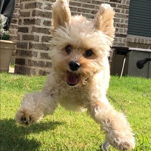 Meet your Posher, Olivia